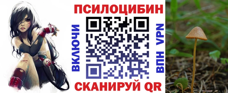 цена наркотик  Ачхой-Мартан  Галлюциногенные грибы Cubensis 